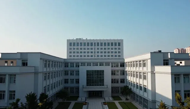 技术咨询如何提升项目管理的性能与适用条件