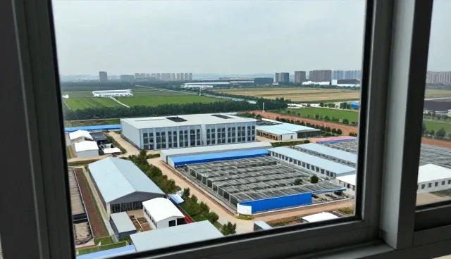 技术转让如何驱动效率提升的业务发展趋势